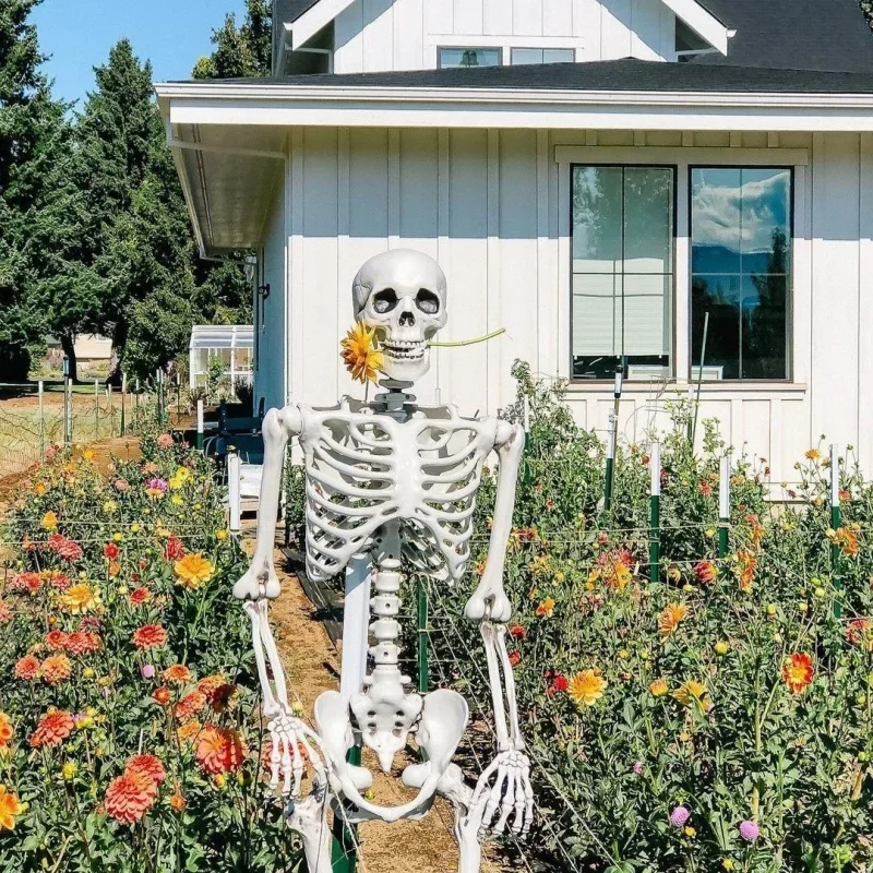 Spooky Full Body Poseable Skeleton Halloween Decoration for Indoor and Outdoor Use