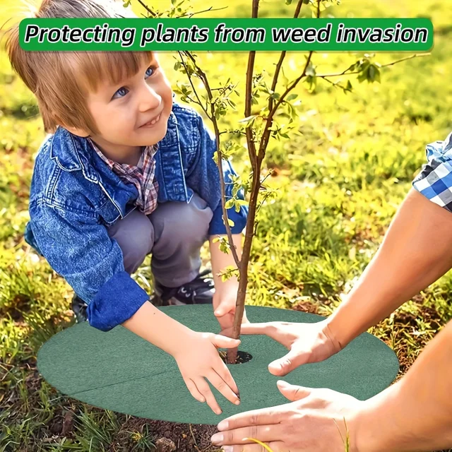 Green Non-Woven Tree Mulch Ring - Reusable Weed Barrier Mat for Effective Weed Control, Root Protection, and Moisture Retention 6