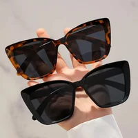 2PCS Cat Eye fashion Women Sunglasses Daily Holiday Beach Decorative Glasses 1