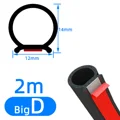 Big D 2m