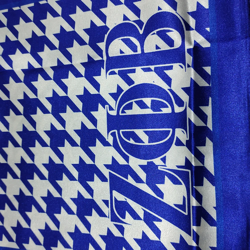 Blue ZETA PHI BETA Friendship Letter Dove Shield Long Scarf with Different Styles