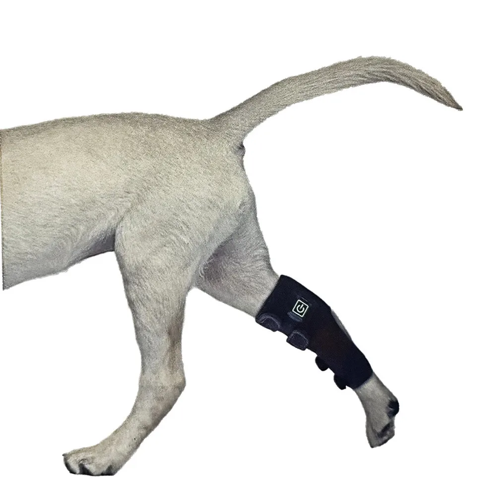 Pet DogLEDPhysiotherapy Heating Cloth Lamp Dog Leg