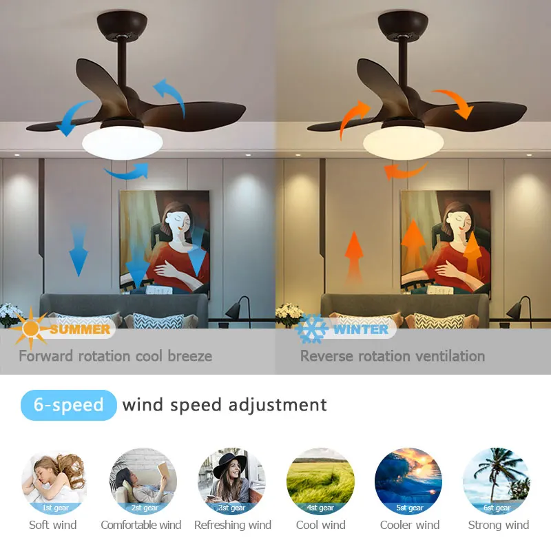 Mini Ceiling Fan Lamp Dining Room Bedroom Ceiling Fan Light Remote Control Home