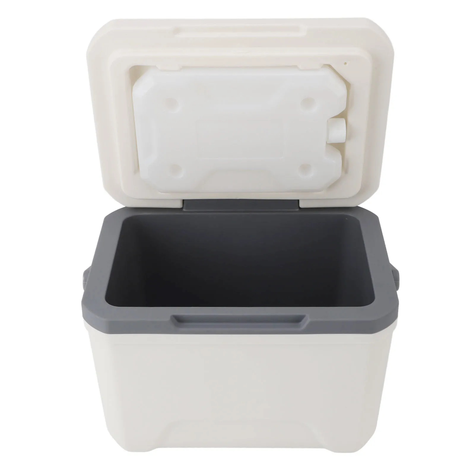 6L Insulated Portable Cooler Large Capacity Hard Lightweight PU PP Ice Chest Box with Handle for Outdoor Camping BBQ Picnic Sba656c26ee2f4de4b86694de4f34ce97H