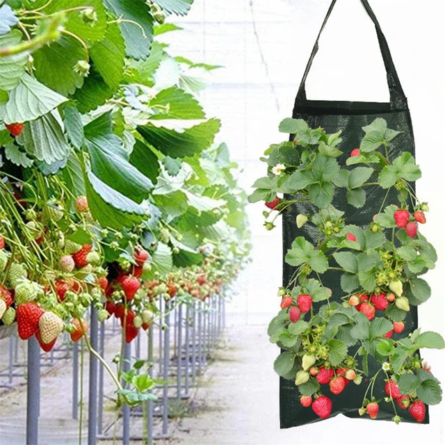 Multifunkcionális Függő Paradicsomnövény Táska Fejjel Lefelé Ültetési Ültetvényes Növényi Virágnövénytermesztés Táskák Kerti Edény - Image 2