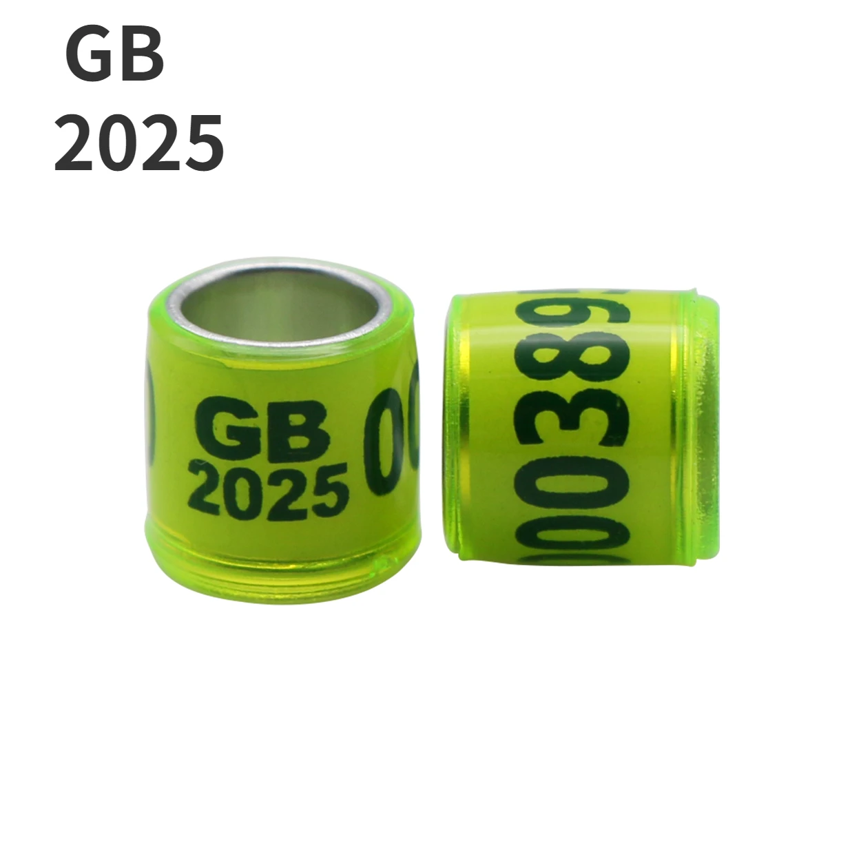 GB 2025