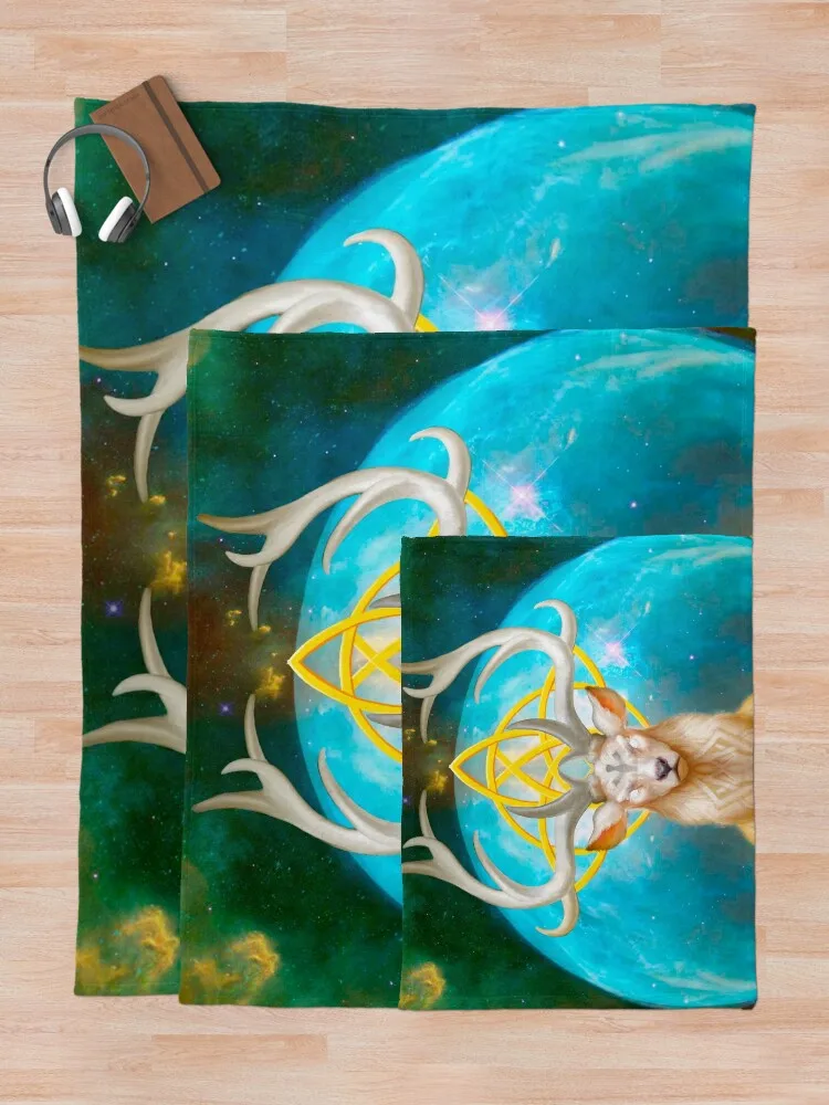 �� �罿 ������ ���, ��� ���, �ö��� ���