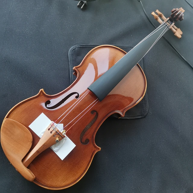 Eastman VL80 1/4 分数バイオリン EASTMAN VL80（イーストマン）分数