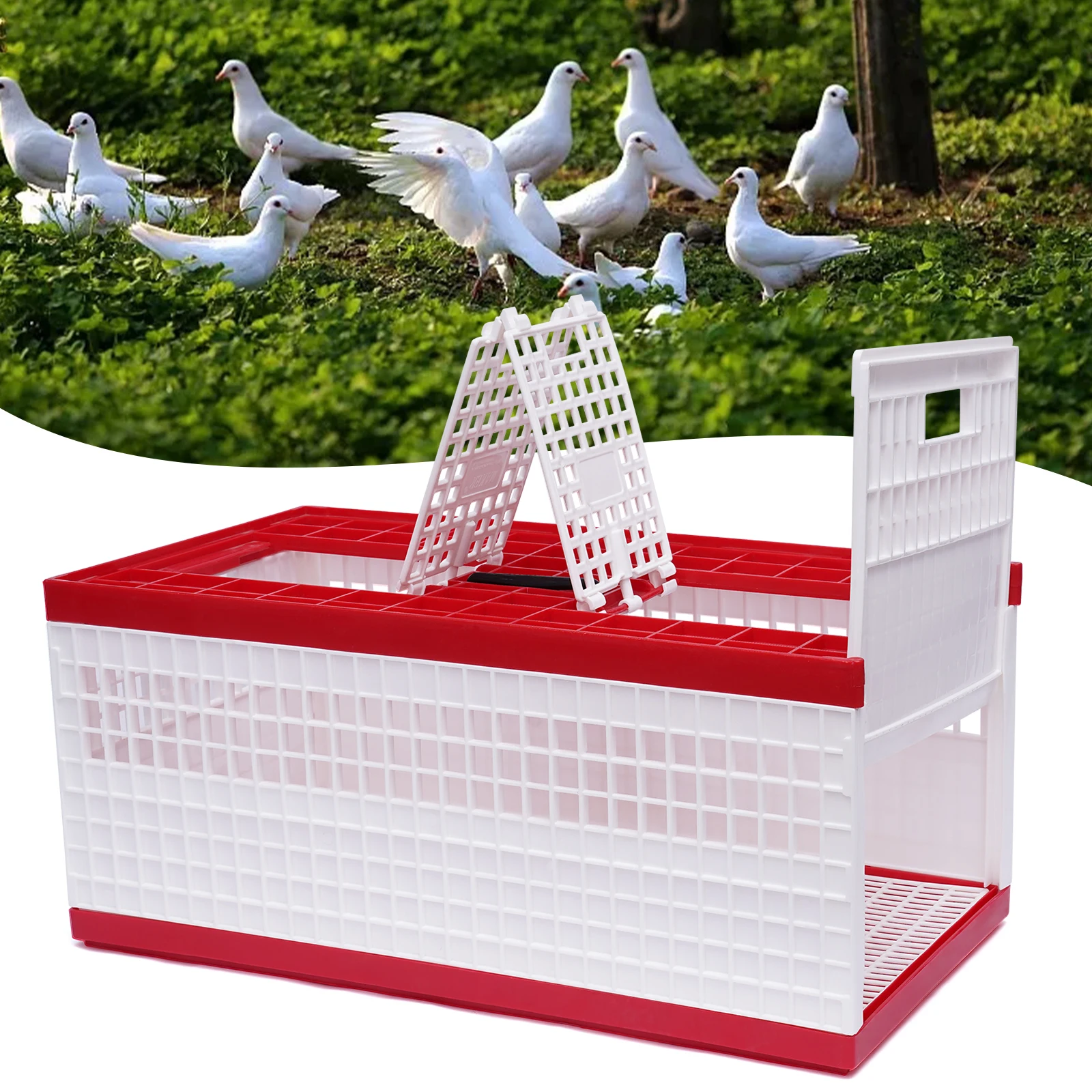 Curated visual reference: Gallery Detail: Pigeon Travel Cage