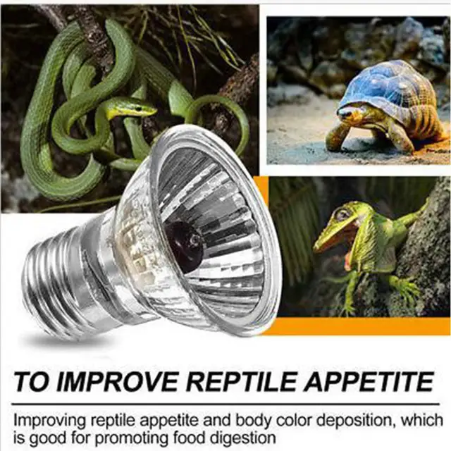 220V 25/50/75W UVA+UVB Reptile Lamp Bulb Turtle Basking UV Light Bulbs Heating Lamp Amphibians Lizards Temperature Controller 4