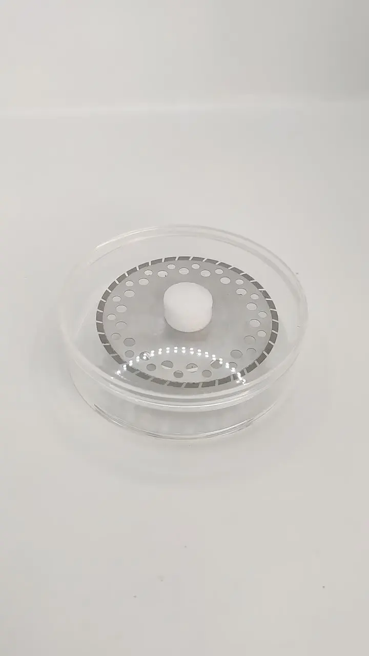 Disco Diamantato HP 1 Lato Con Mandrino | Odonto Magic - Foto 5