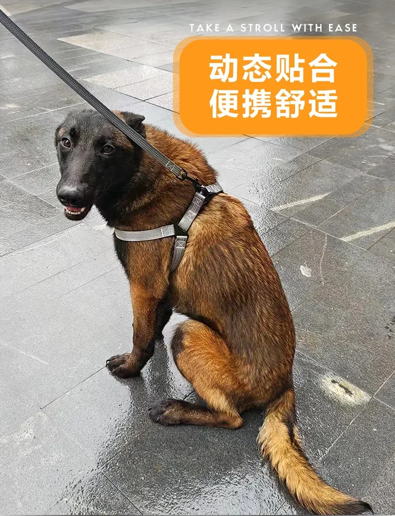 https://ae01.alicdn.com/kf/Sba6cc6a4bd6743bda363990401cdfa7eX.jpg?width=790&height=1033&hash=1823