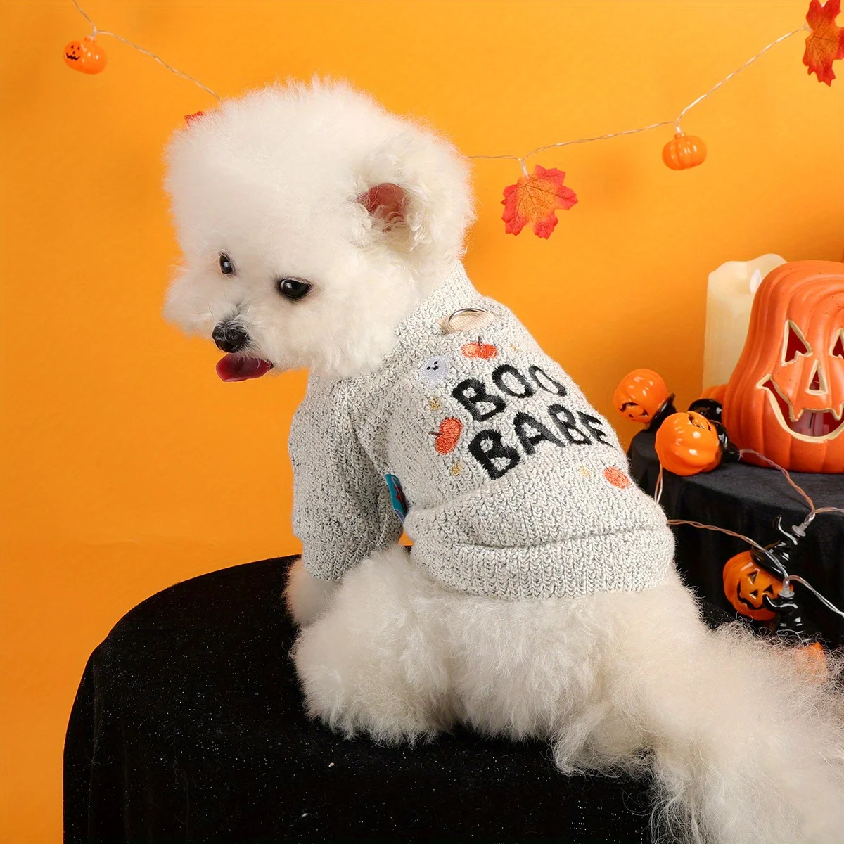 Halloween Pumpkin Ghost Pet Pullover 5