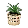 Golden succulent flower pot ceramic creative desktop flower pot flower pot living room decoration  vase decoration household 3