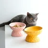 ceramic Raised Cat Bowls, Tilted Elevated Food or Water Bowls , Stress Free, Backflow Prevention, Dishwasher and Microwave Safe 3