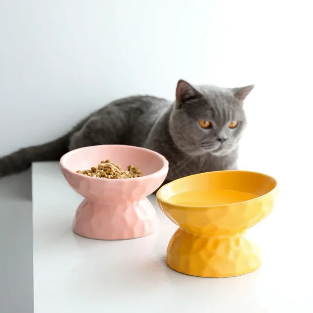 ceramic Raised Cat Bowls, Tilted Elevated Food or Water Bowls , Stress Free, Backflow Prevention, Dishwasher and Microwave Safe 3