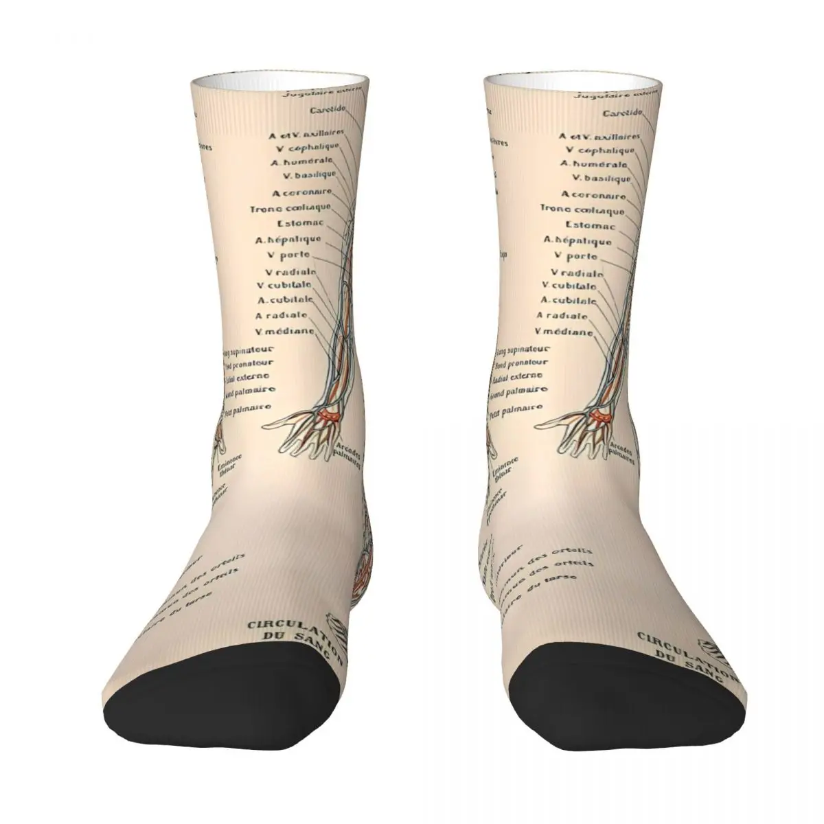 

Adolphe Millot Human Anatomy - Men Sock Socks Men Women Polyester Stockings Customizable Funny