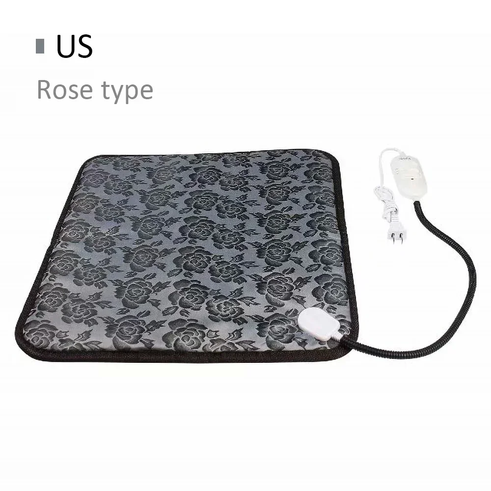 Rose pattern US plug