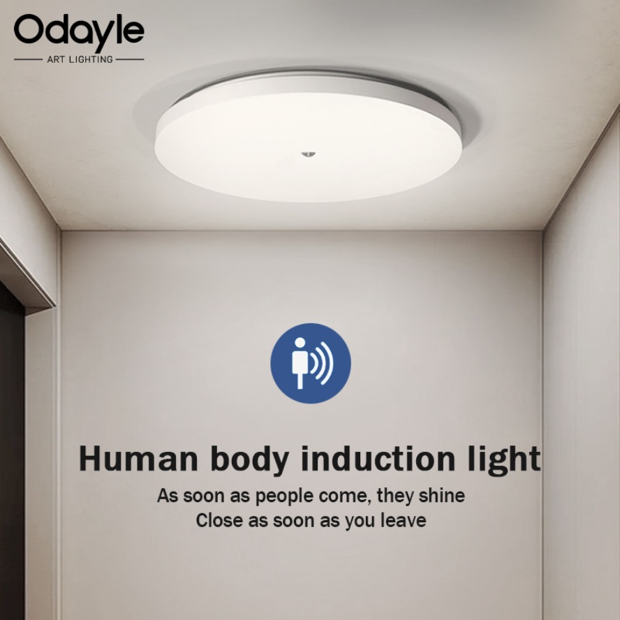 Motion Sensor LED Ceiling Light Corridor Human Infrared Sensing Night Light Ceiling Light Corridor Smart Home Lighting Lustres
