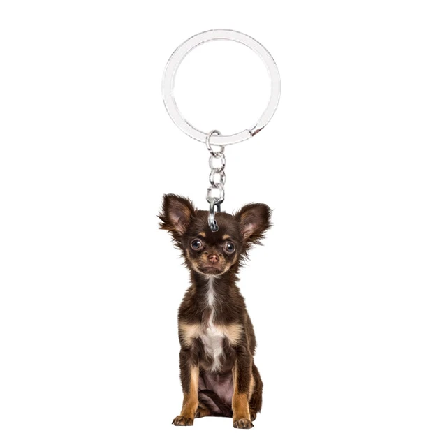 Cute Chihuahua Dog Crystal Keychain Bag Accessories for Women Gold Color  Female Keyring Jewelry llaveros para mujer K7326S01 - AliExpress