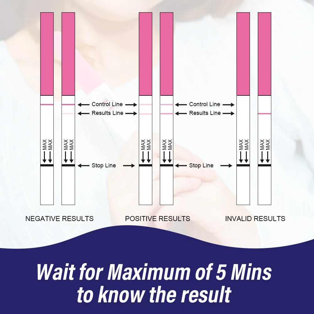 Pregnancy Test Ovulation & Pregnancy Test Strips Combo Kit 10 LH + 2hCG Accurate & Easy to Read 5mm Sticks Pregnancy Tests Early Detection