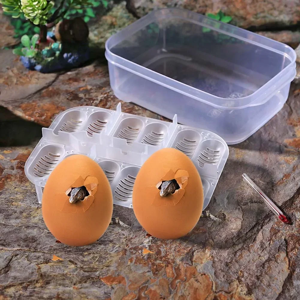 12 Grids Reptiles Egg Incubator Tray Lizard Snake Eggs Hatcher Plastic Case Box Home Furnishing Pet Hatching Essential Supplies