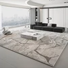 Large Area Rugs for Bedroom Thick Washable Lounge Floor Mat Fluffy Soft Cloakroom Rug Modern Style Living Room Decoration Carpet 3