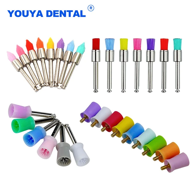 Brush Dental Disposable Nylon Polishing  Disposable Dental Brushes  Prophylaxis - Dental Drills&brushes - Aliexpress