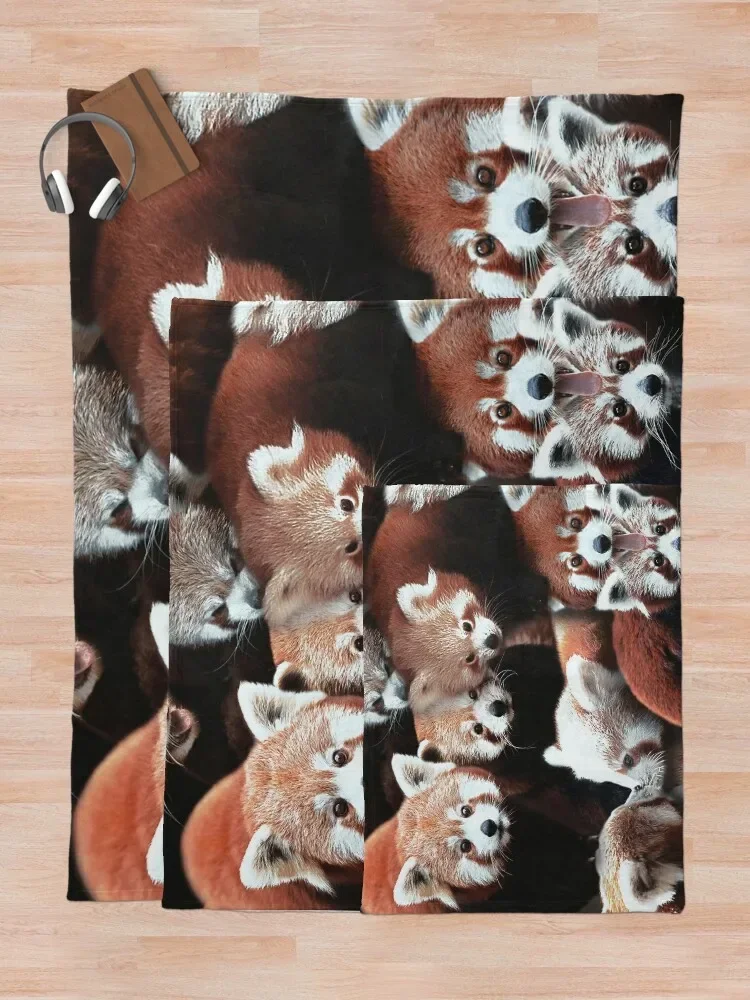 ���Ŀ� ���� �Ǵ� ������ ���, ǫ���� ���, �Ϳ��� ���� ���� ���