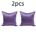 Purple 2pcs