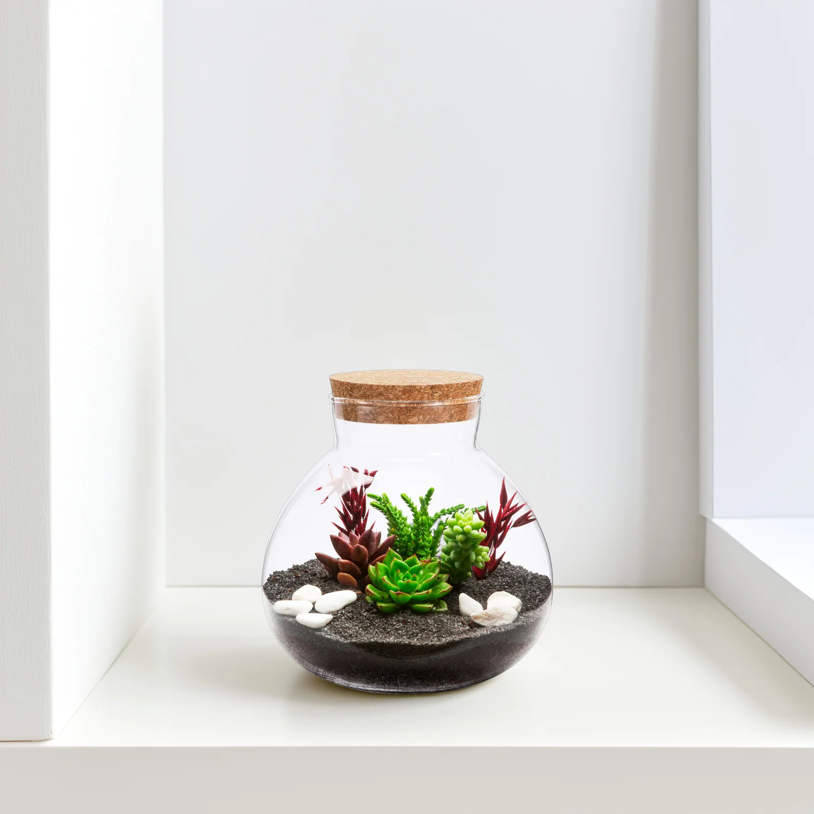 Eco Bottle Terrarium DIY Empty Plants Moss Landscape Container Glass Ecological with Cover Home Decor 4