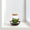 Eco Bottle Terrarium DIY Empty Plants Moss Landscape Container Glass Ecological with Cover Home Decor 4