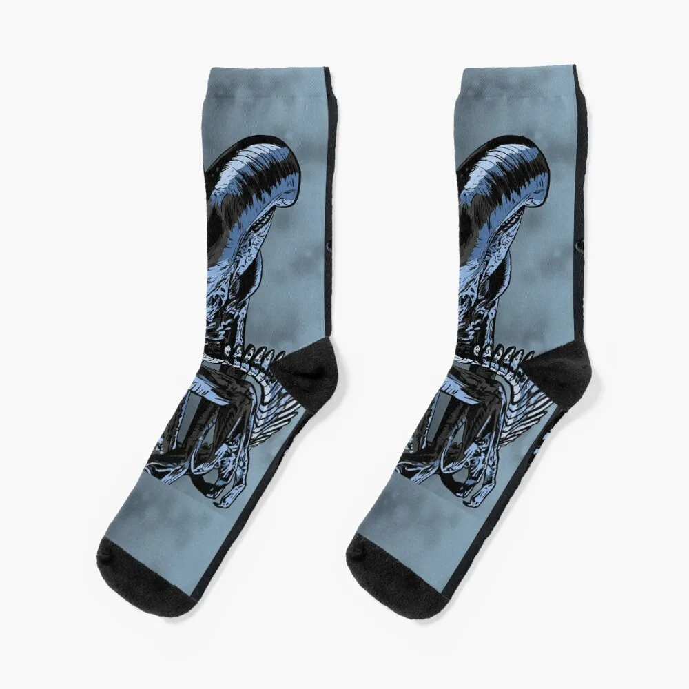 

Xenomorph Socks crazy socks Fun socks luxury sock Sports socks Men's Socks Women's