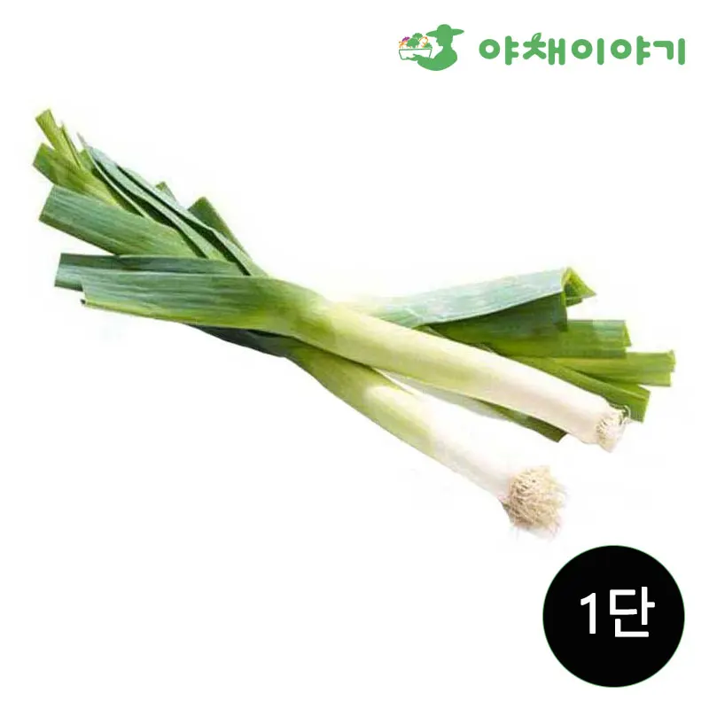 야채이야기 대파 1단 (약 1kg) - AliExpress 2