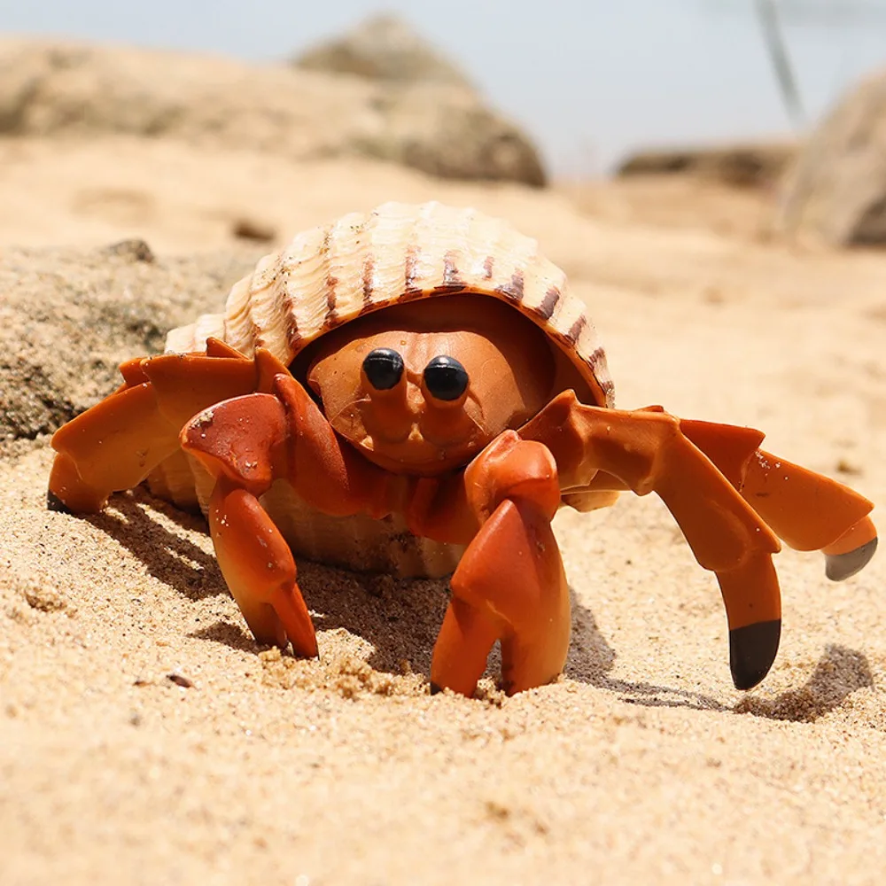 

New Children's Simulation Solid Marine Plastic Seabed World Animal Model Hermit Crab Marine Crab Toys Handmade Decorations Gifts