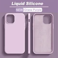 Grass Purple