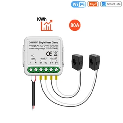 Smart WiFi Double Energy Meter with Current Transformer Clamp - 2CH WIFI