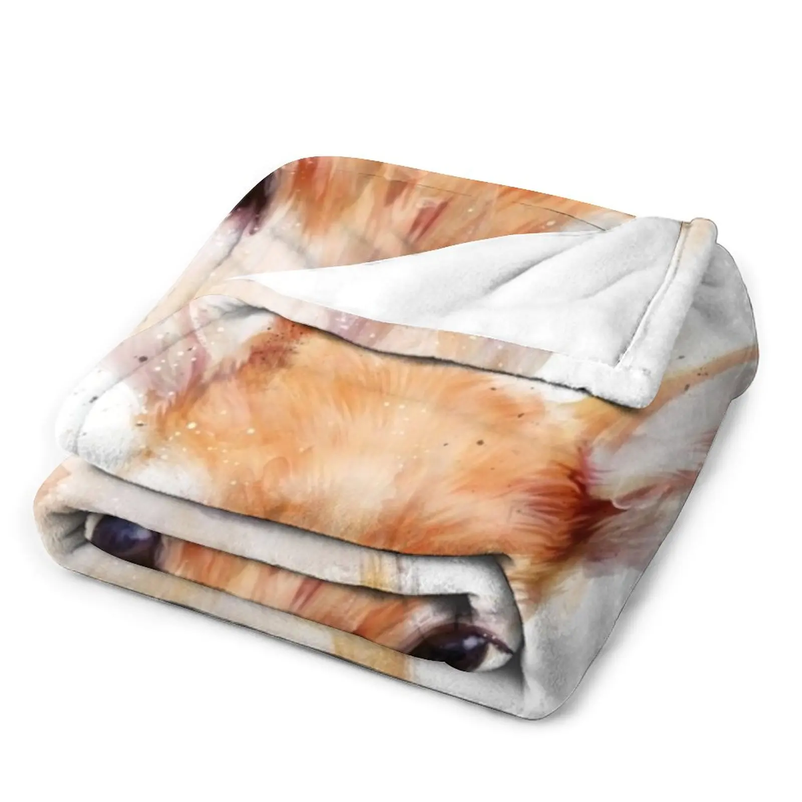 ���� �罿 ������ ���, ���Ÿ� ����Ʈ ���, �ڽ����� �ִϸ��̼�