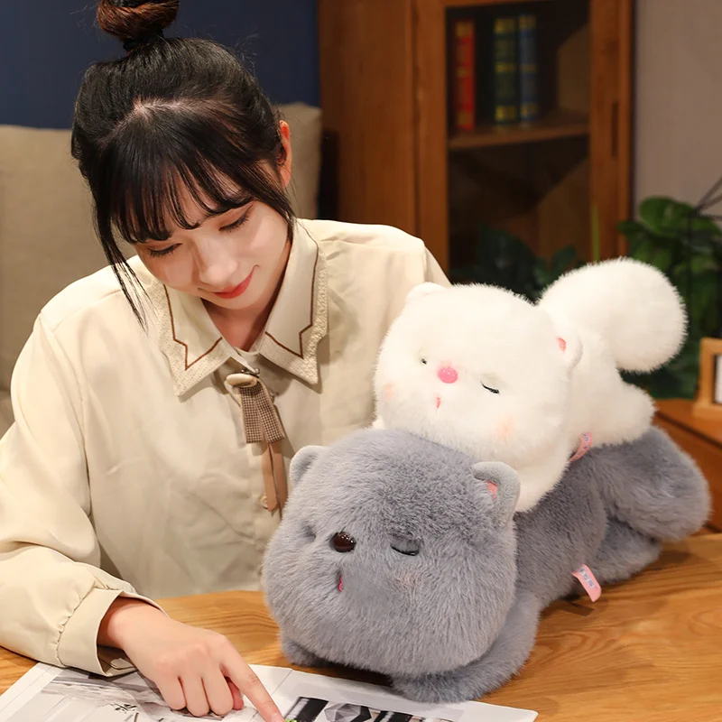 

Kawaii пушистые кошки плюшевые игрушки мягкие животные комната Домашний Декор диванная Подушка куклы мультфильм мягкие игрушки для мальчиков для девочек рождественские подарки