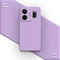Grass Purple