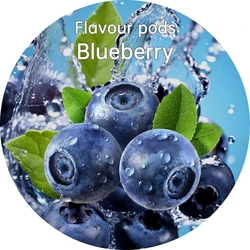 LUSQI Flavor Pods for Sports Water Bottles - Perfect for Indoor & Outdoor Fitness Activities (Blueberry)