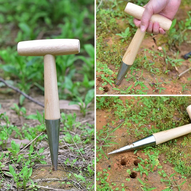 2Db Otthoni Pozsgás Növények Lyukú Lyukasztó Kézi Dibber Kerti Szerszám Bonsai Ültetési Transzplanter Készlet Zöldség Virág Hordozható - Image 6