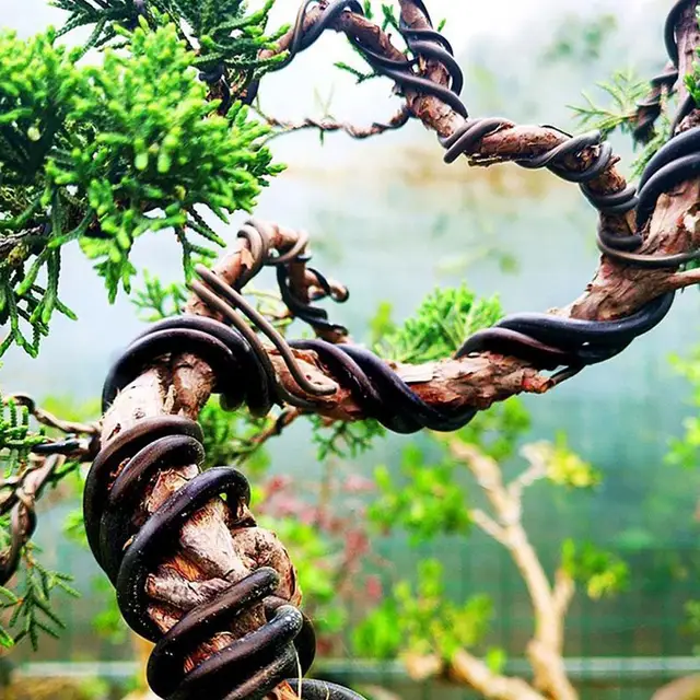Fekete Bonsai Huzalok Eloxált Alumínium Edzőkereszt Összesen 16,5 Feet - Image 4