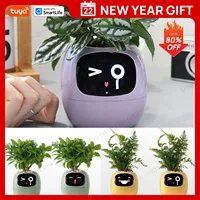 Ivy Tuya Smart Planter,Endless Fun Over 49 Rich Expressions,7 smart sensors,AI Chips Make Raising Plants Easy and Fun 1