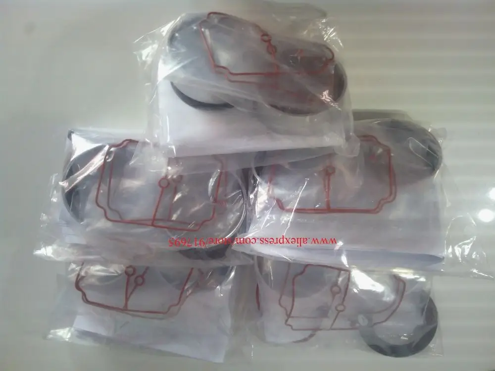 Рисунок 3 - Воздушный насос Thomas 2660CGHI42