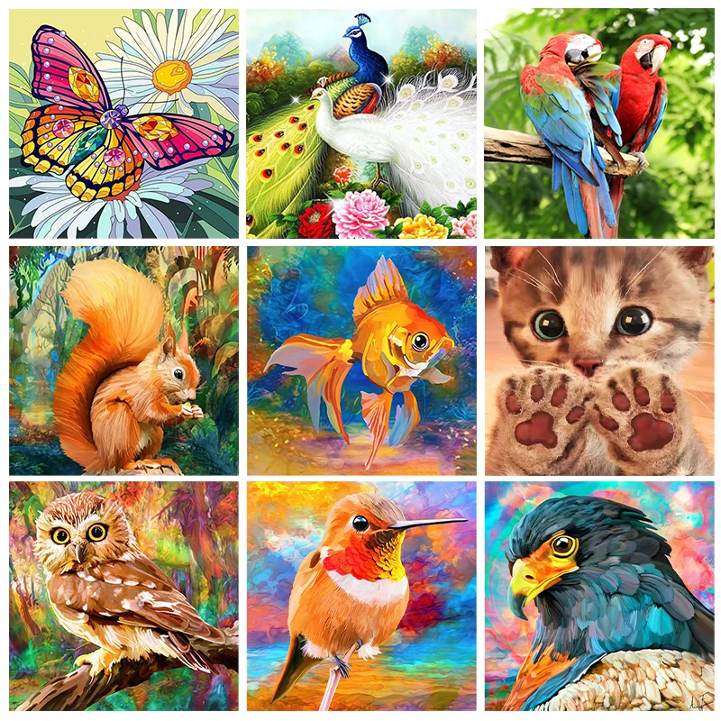 DIY Diamond Painting Kit Parrot Bird Square Round Gems Wall Decor Craft 5D  Art