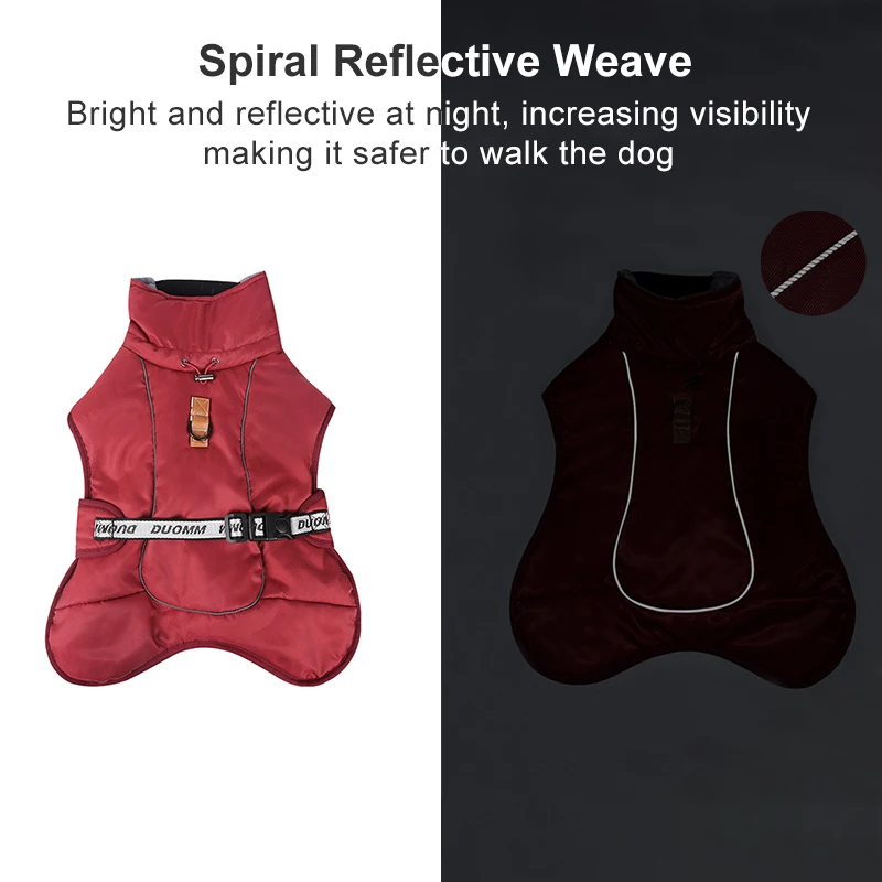 labrador dog clothes online