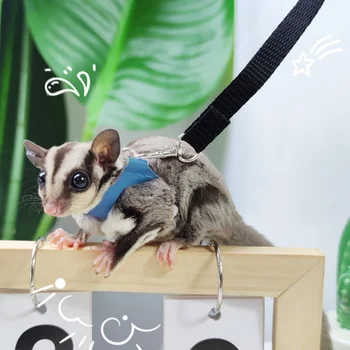 Small Pet Harness Set 1