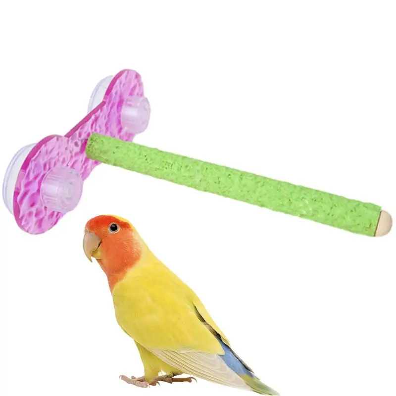 

Bird Cage Stand Bird Cage Stand For Parrots Bird Play Stand Perch Bird Training Stand Bird Travel Perches For Sparrow Parrots