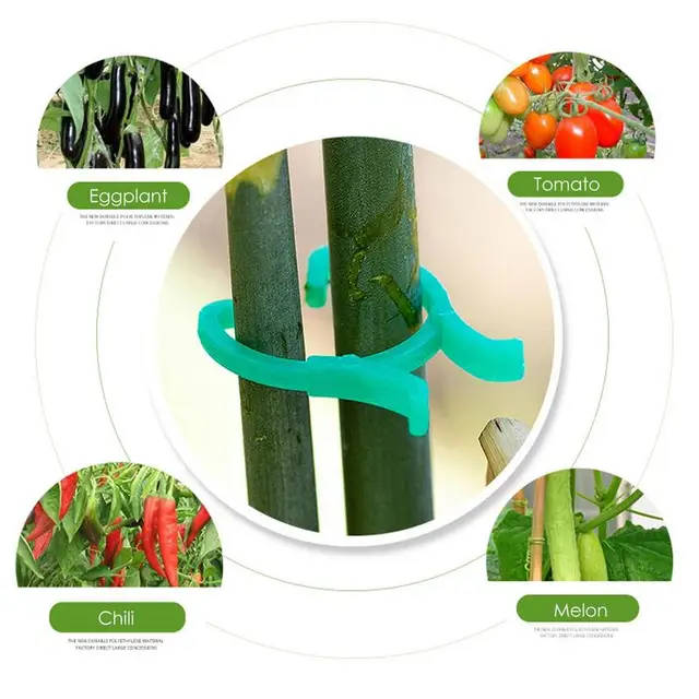 Kerti Klipek | 100Db Mászó A Szőlőhöz Szőlő Paradicsom Zöldségek Támogató Klipek, Amelyek Egyenesen Termeszthetnek - Image 4